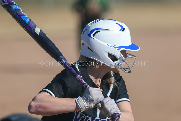 2021-03-16 LL v. CHS VSB-19